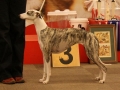 kris-20121110-rygaspec-jpg