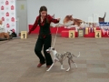 ryga_2012-11_moves-jpg